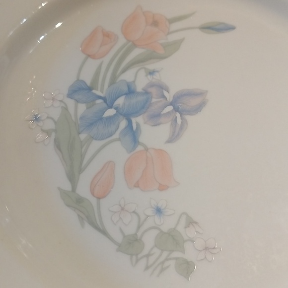 Illusions By Excel Dinner Plate. - Picture 4 of 5